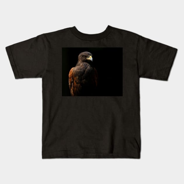 Harris Hawk Portrait Kids T-Shirt by SHWILDLIFE